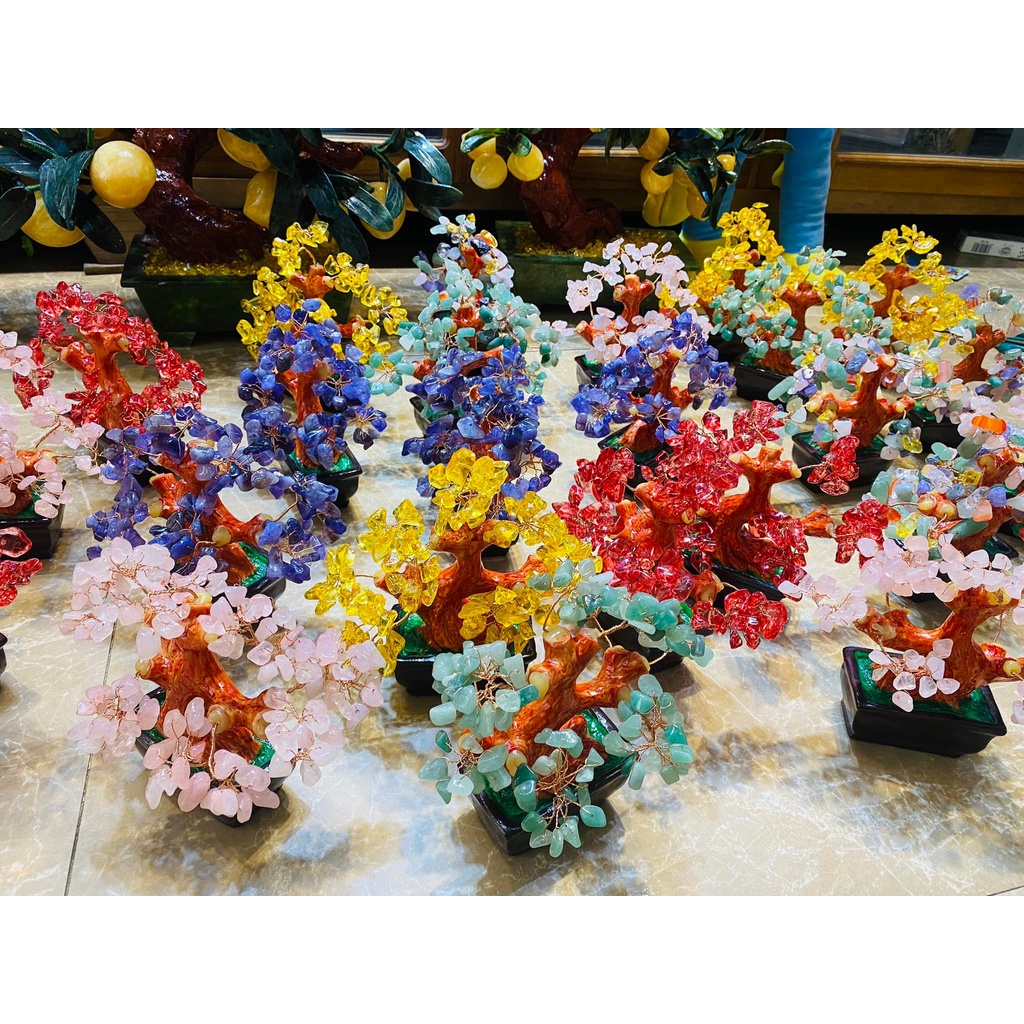 💥 GIÁ CỰC RẺ 💥 Cây đá phong thuỷ Ngũ Sắc