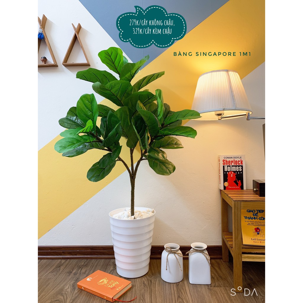 Cây giả - Cây bàng singapore giả decor cao 1M có 3 nhánh