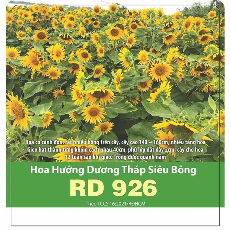 Hạt Hoa Hướng Dương Tháp Siêu Bông Rado 926 - 2gr - Rạng Đông - Trồng Quanh Năm, Cây Cho Hoa Sau 12 Tuần Gieo