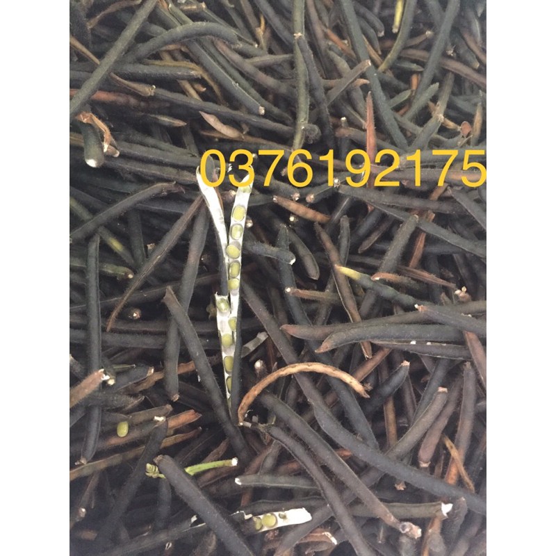 đậu xanh nhà trồng (1kg)