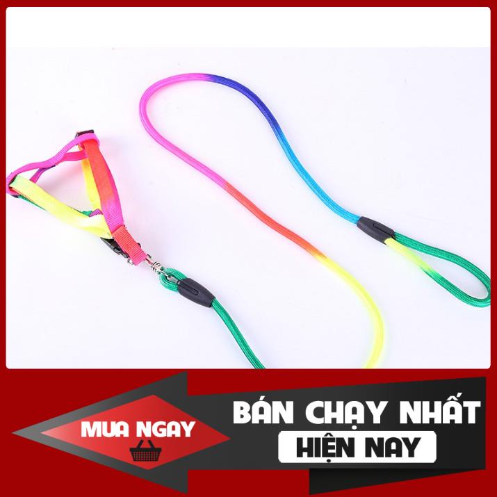 Dây dắt 7 màu cho chó mèo 0
