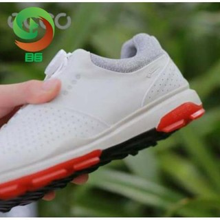 ( freeship ) (chính _ hãng ) Giày Golf Ecco Biom Hybrid 3 núm vặn