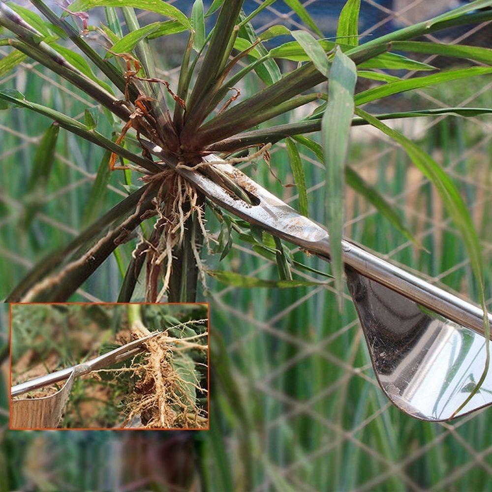 Dụng Cụ Đào Cỏ Cầm Tay Bằng Gỗ Đa Chức Năng