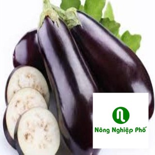 50 hat giống cà tím dài đen PHUNONG