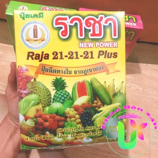 Phân bón tốt cho cây trồng - phân bón npk raja 21-21-21 plus thái lan - 1kg