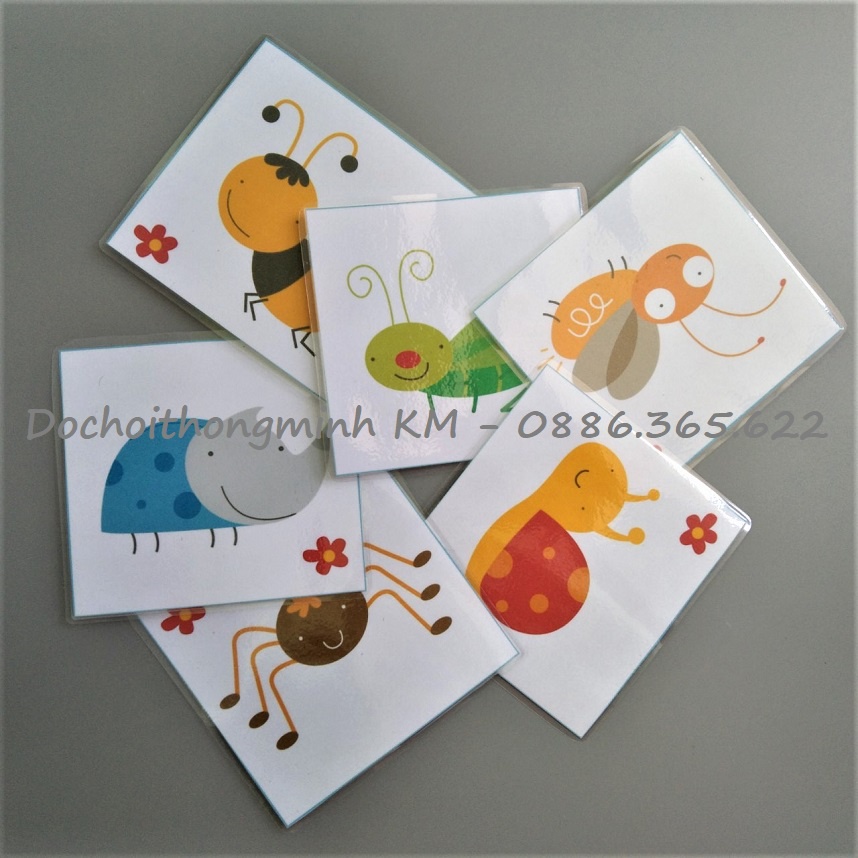 HỌC LIỆU - Matching tìm hình bóng - Tìm bóng côn trùng