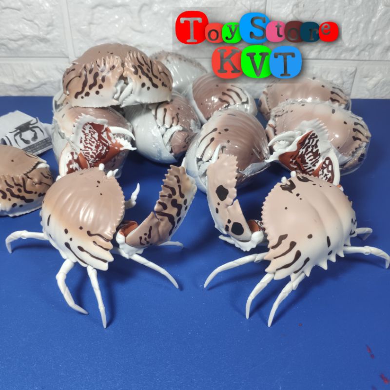 Mô Hình Gachapon Cua Hộp Sọc đỏ Red-streaked Box Crab (Dango Mushi 06 by Bandai)