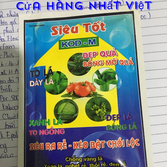 Siêu tốt50g chuyên to lá , dày lá, xanh lá, bóng quả