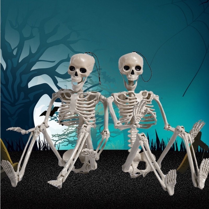 Bộ Xương Người Bằng Nhựa 60CM Dùng Trang Trí Halloween