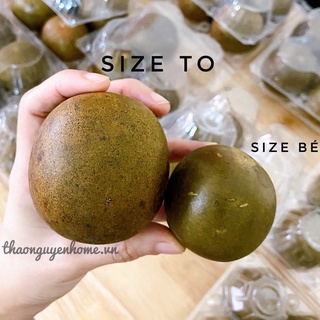 Quả la hán cỡ to quả già (1 quả)