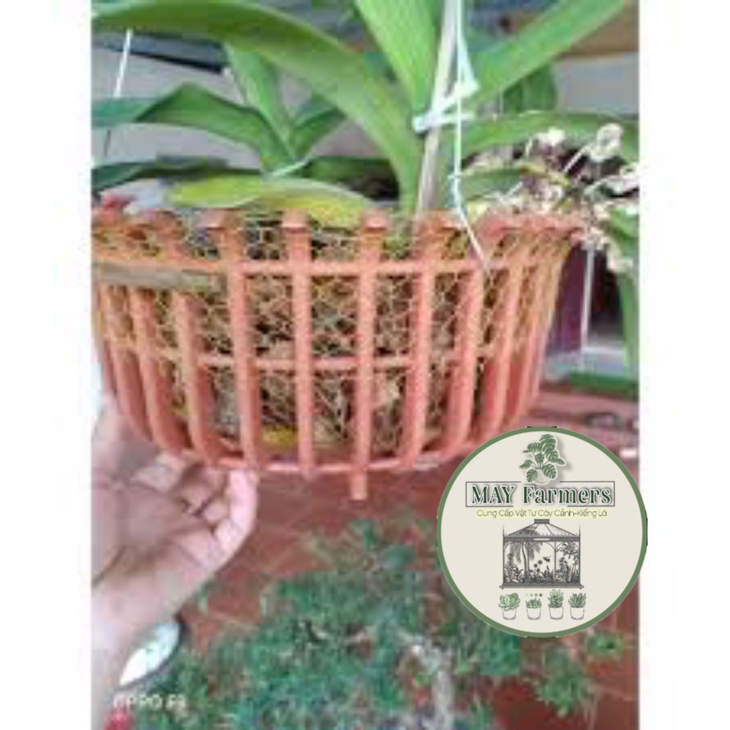 COMBO 10 CÁI LƯỚI LÓT CHẬU LAN