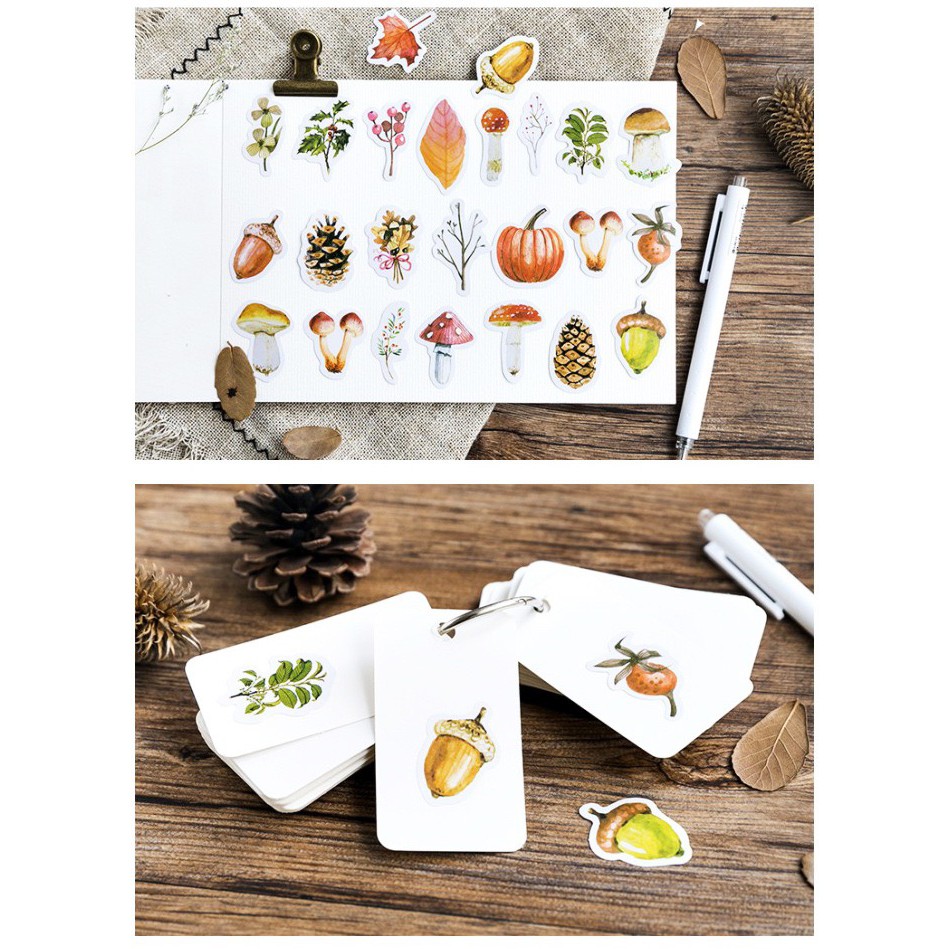 Bộ sticker/ Hình dán Hình Nấm &amp; Lá Cây Khô (45 Hình)