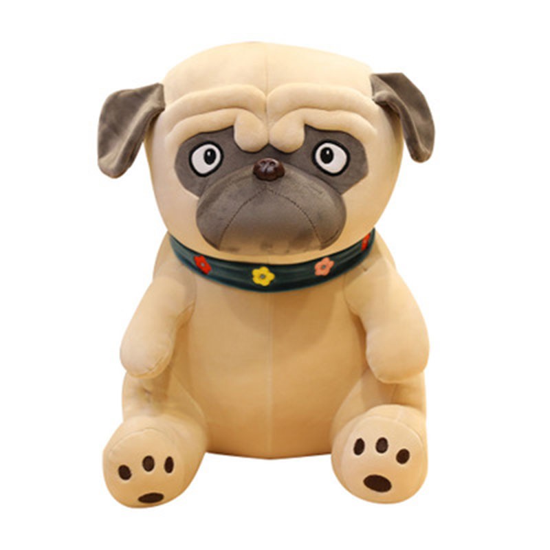 Chó Bông Mặt xệ Pug