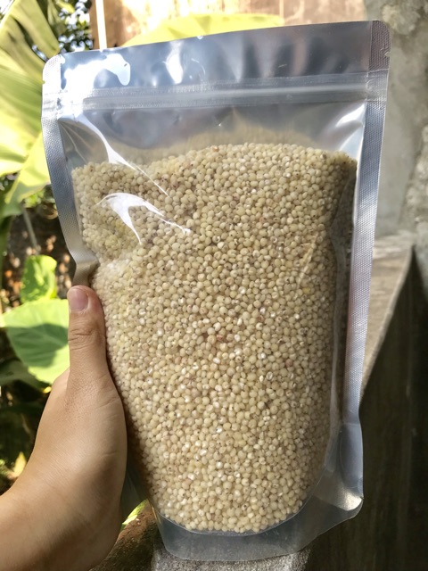 Hạt Ý dĩ (bo bo)