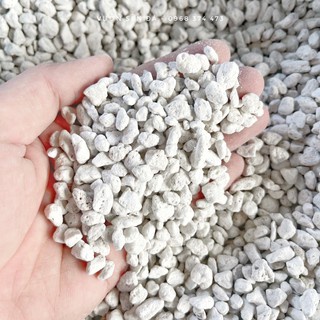 Đá Pumice 3mm-6mm-8mm, đá bọt núi lửa Indonesia, lót chậu, trộn đất trồng sen đá, xương rồng, đá lông vũ, trộn giá thể