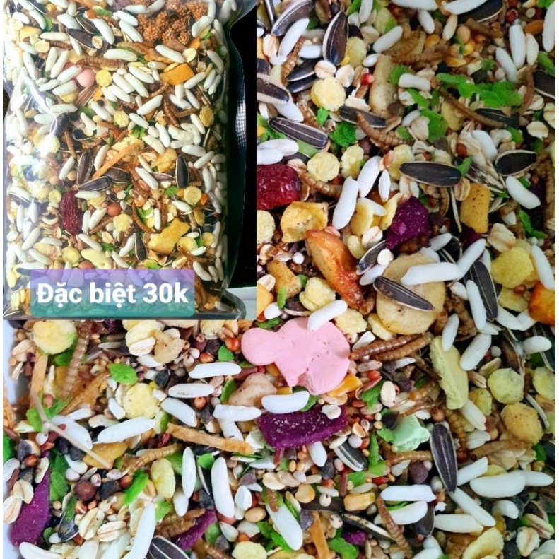 Thức ăn cho hamster