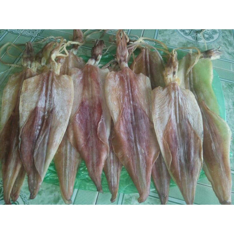 1 Con Khô mực câu loại Thượng Hạng  chuẩn mực câu Nghệ An 100%  - Mực xịn sò chuẩn Ngon nhất