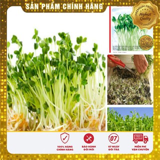 Hạt giống rau mầm cải thảo dược Methi