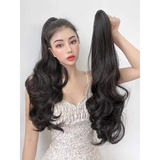 Ngoạm đuôi tóc giả 60p