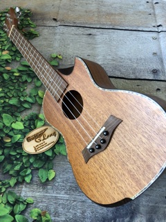 Đàn Ukulele Concert Eo Wat MHĐ-CB25