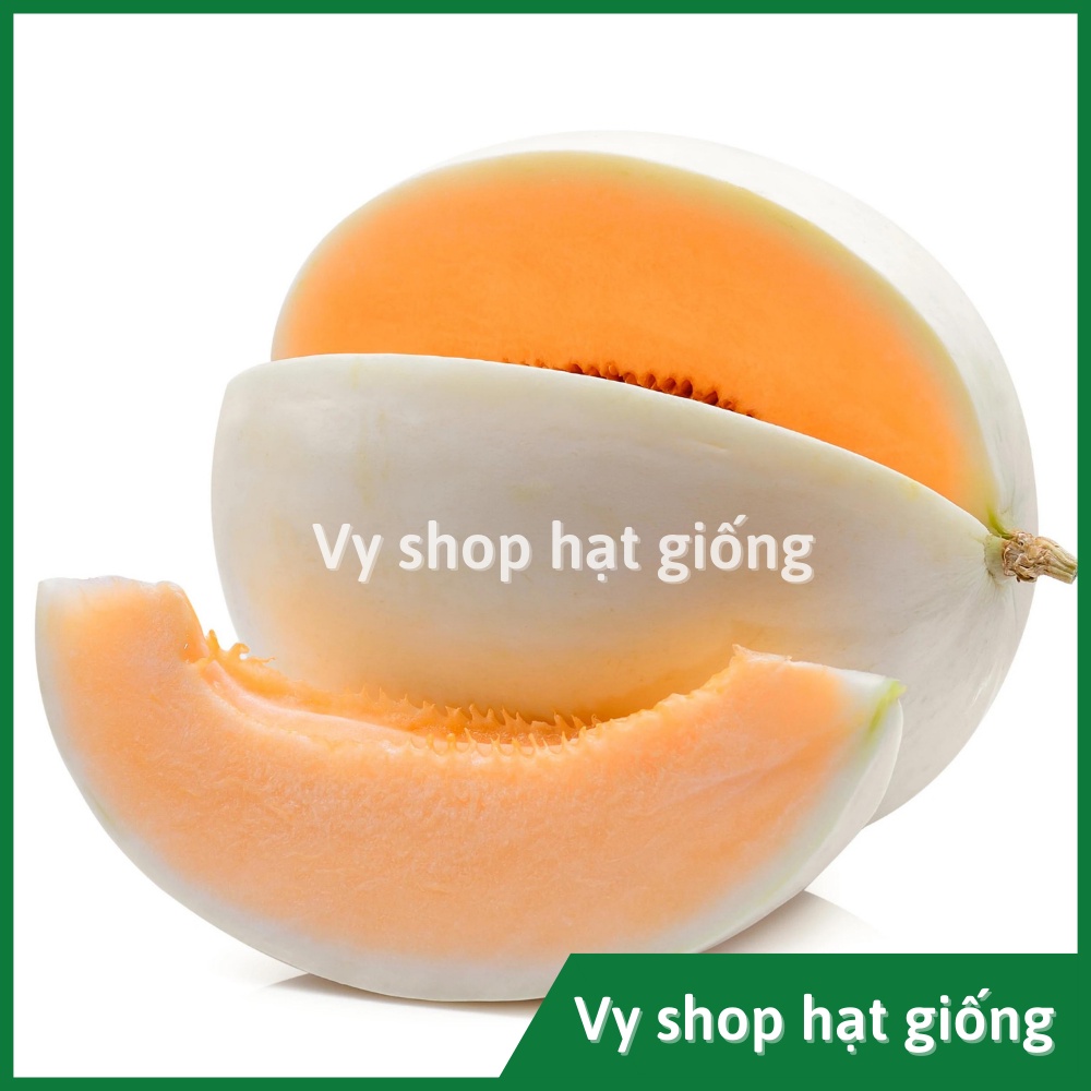 Hạt giống dưa lê cẩm ngọc ruột cam Thái Lan gói 12 hạt