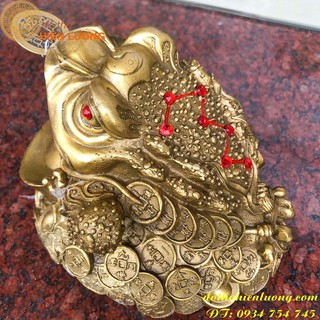 Tượng Thiềm Thừ To - cao 14cm (Cóc ba chân linh vật phong thuỷ tài lộc)