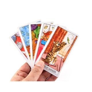 Bài Cat Tarot New H3 Size Thường
