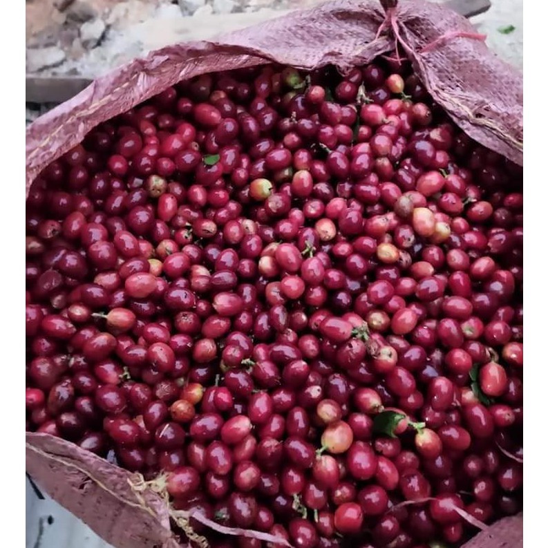 Cà Phê Rang Mộc tỷ lệ 70% Robusta và 30% Arabica | BigBuy360 - bigbuy360.vn