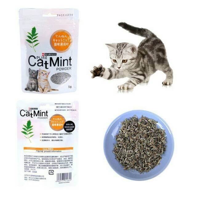 Cỏ Mèo | Cỏ Bạc Hà Catnip Hahale cho mèo – Gói Catmint 5g hỗ trợ tiêu búi lông, tốt cho tiêu hóa mèo