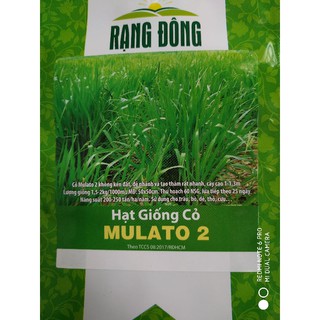 Hạt giống Cỏ Mulato 2