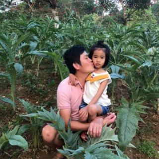 Cao atisô sapa date 2020