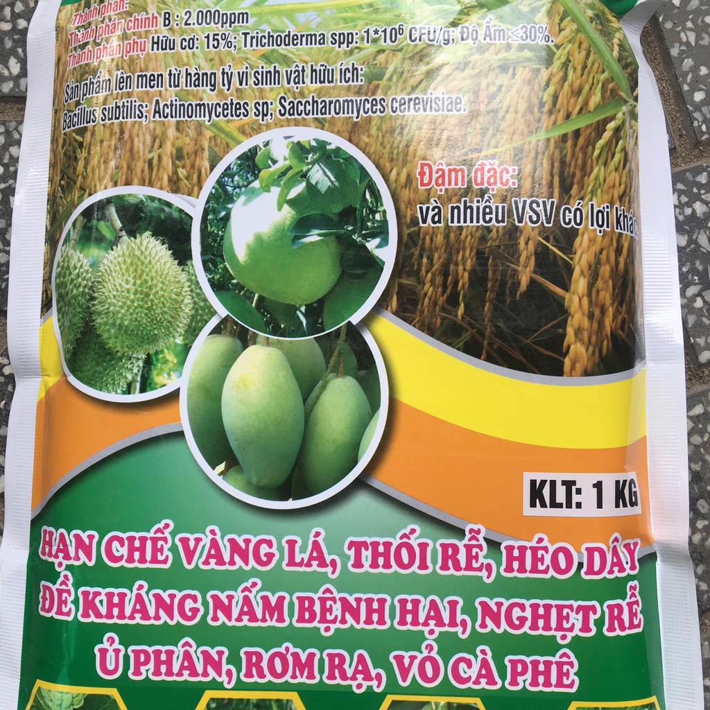Chế phẩm phân huỷ rơm rạ, ủ phân vi sinh nấm đối kháng Trichoderma