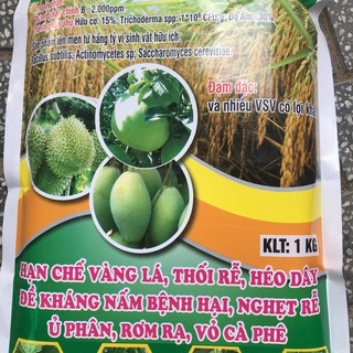 Chế phẩm phân huỷ rơm rạ, ủ phân vi sinh nấm đối kháng Trichoderma