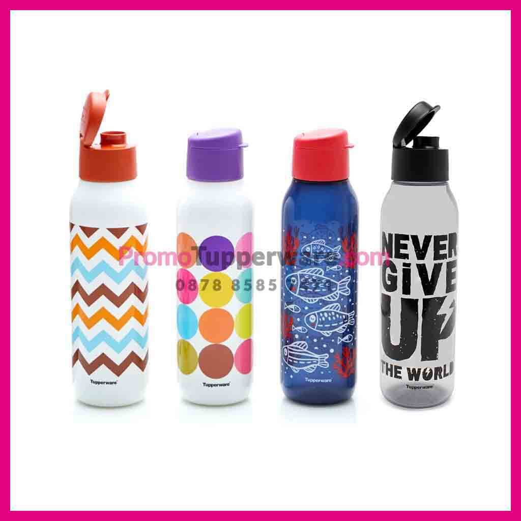 Fancy Eco Bottle 750ml 1 Pc Bottle