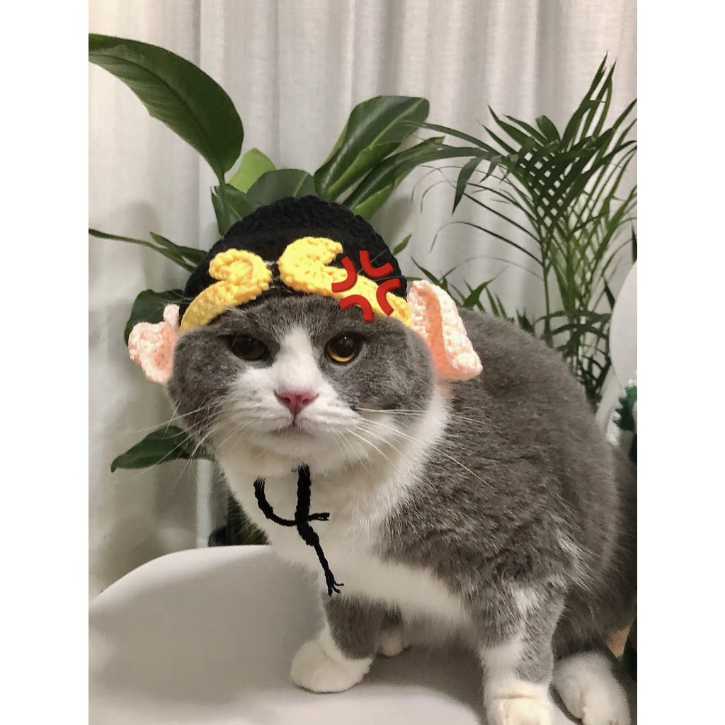 Mũ cosplay trư bát giới Tây Du Ký, mũ len handmade cho chó mèo CHILLMEOW