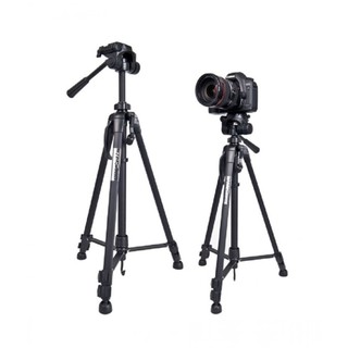 CHÂN MÁY ẢNH TRIPOD WEIFENG WT-3520