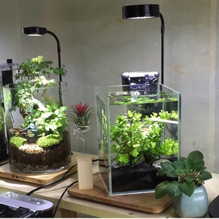 ĐÈN LED ĐẾ GỖ BAMBOO