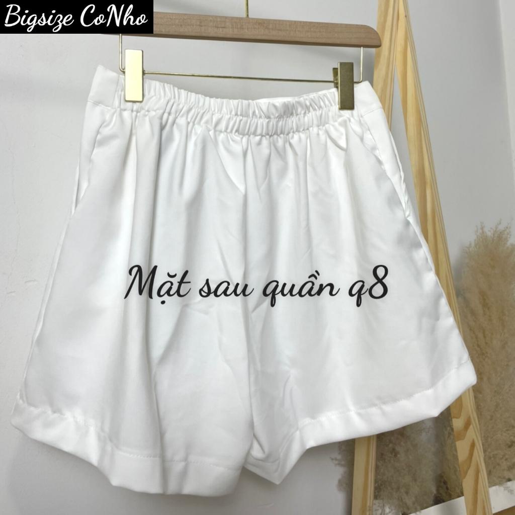 Quần đùi bigsize nữ lưng thun và khóa kéo, Quần short nữ big size ngoại cỡ Q8 | BigBuy360 - bigbuy360.vn