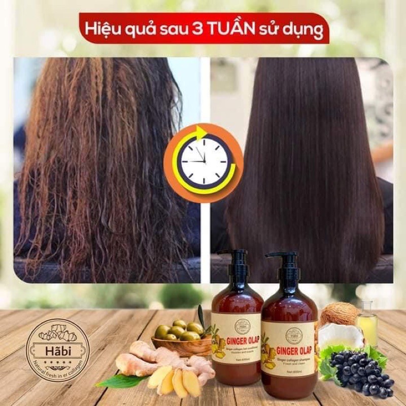 [ Ginger Chính Hãng ] Tặng Tinh Dầu - Bộ Gội Xả Gừng Ginger Olap 800ml x 2