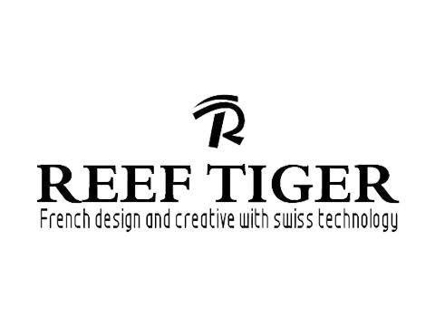 Reef Tiger