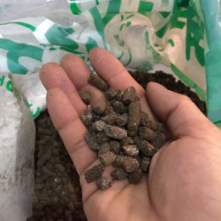 15 kg Phân gà nhật