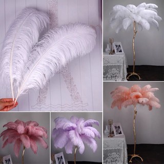 Lông vũ, Lông đà điểu trang trí  25 - 50cm  nhiều màu