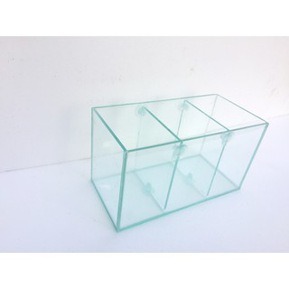 Bể cá betta 3 ngăn - 3 in 1, bể cá mini 30cm( vách ngăn có thể tháo rời)
