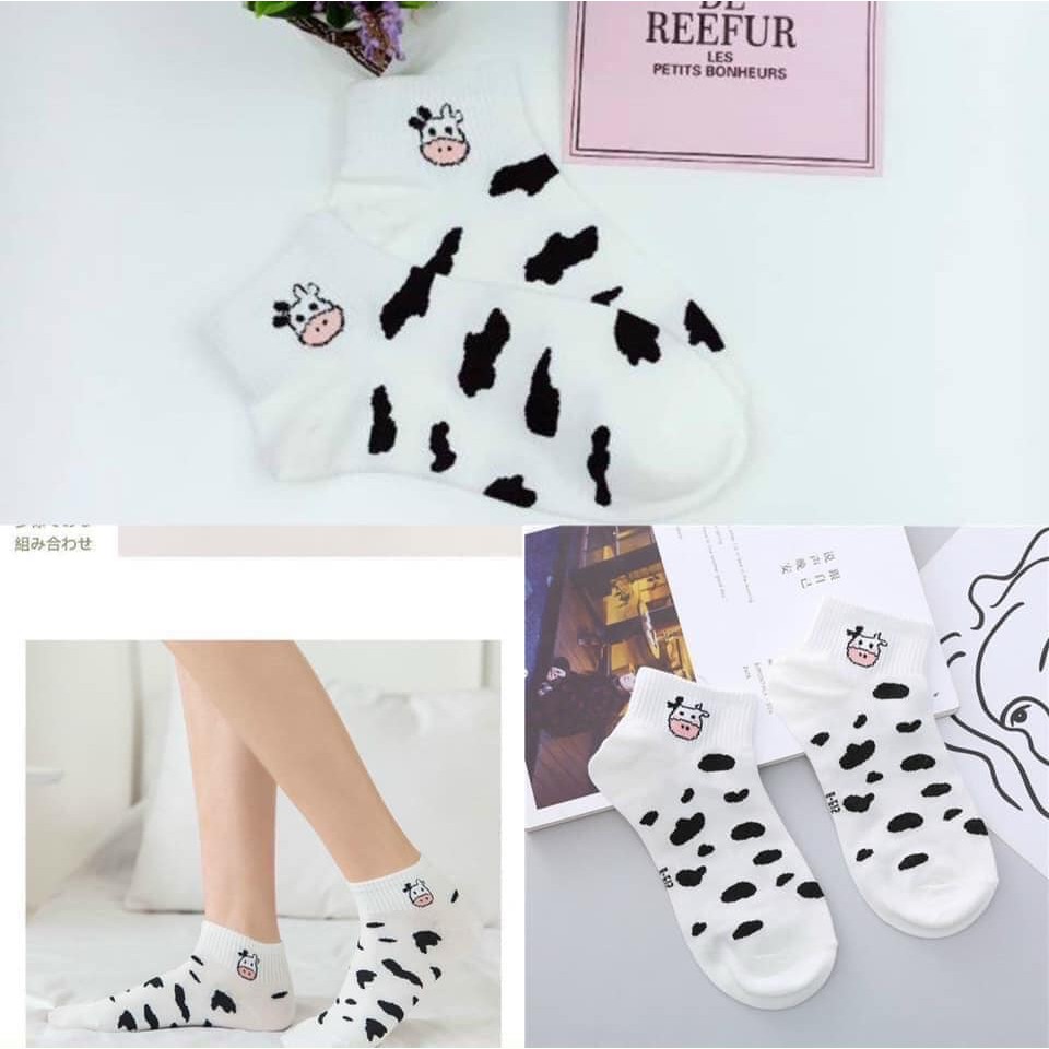 LỐ 10 ĐÔI TÁT BÒ SỮA CỔ NGẮN HÀN QUỐC CHO NỮ