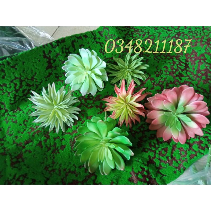 Cây giả- Sen đá -  Xương rồng - Nha Đam - nhiều mẫu- Hoa giả trang trí nhà cửa, decor