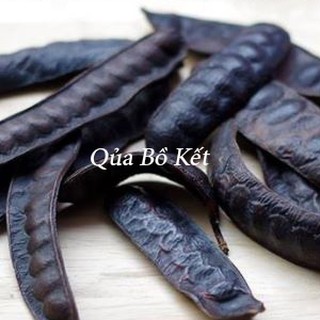  Bồ Kết khô Rừng