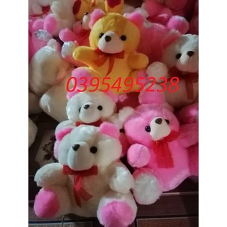 Gấu bông nhỏ dễ thương