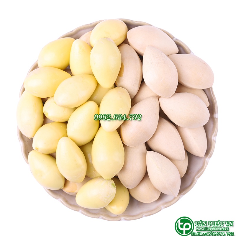 - Bạch quả  tấn phát