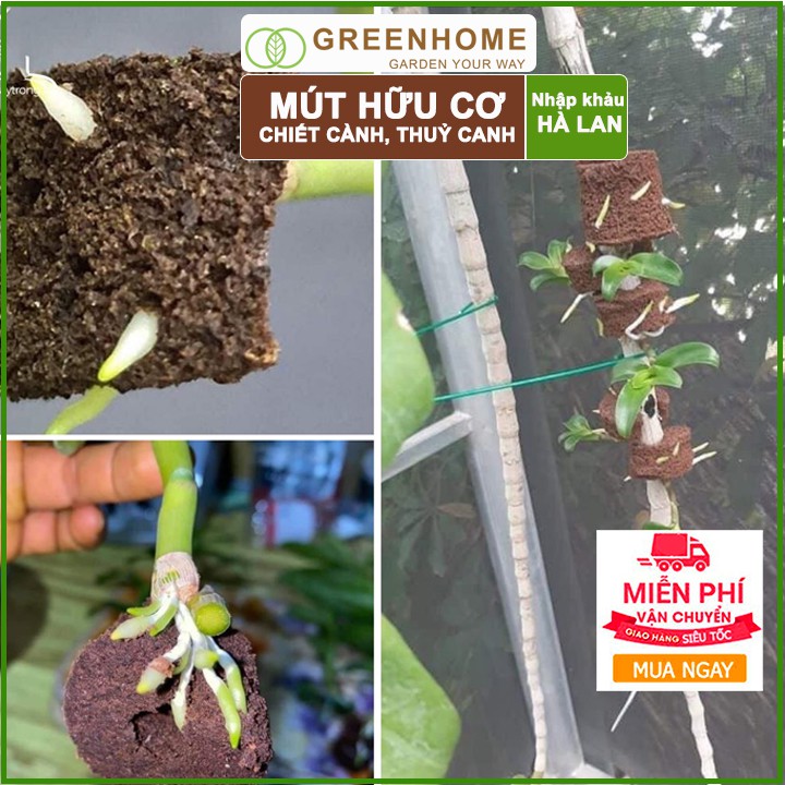 Bộ 5 Mút ươm Kie Hà Lan, 6x6x4cm, hữu cơ, kích rễ, ươm hạt, chiết cành, trồng thuỷ canh |Greenhome