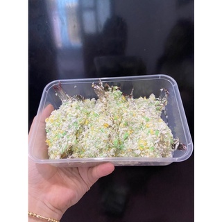 Tôm tẩm bột xù